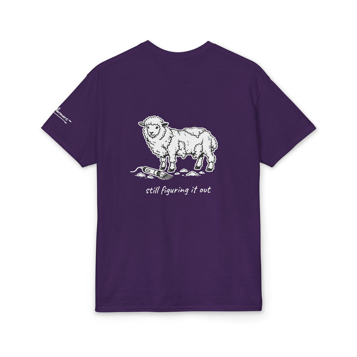 "Still Figuring It Out" Unisex Dryblend Tee